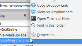 DropBox Menu in Thunar