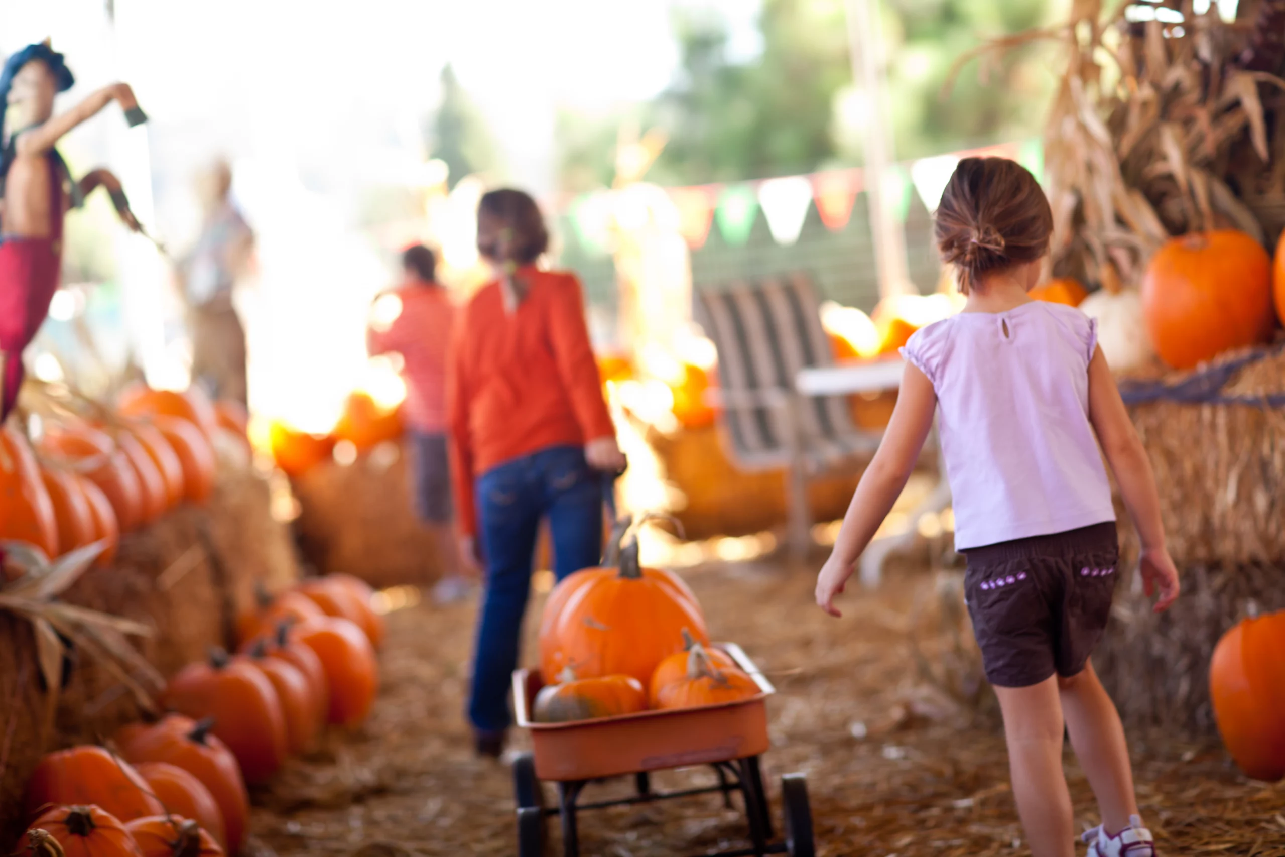 Cute Little Girls Pulling Their Pumpkins In A Wagon
