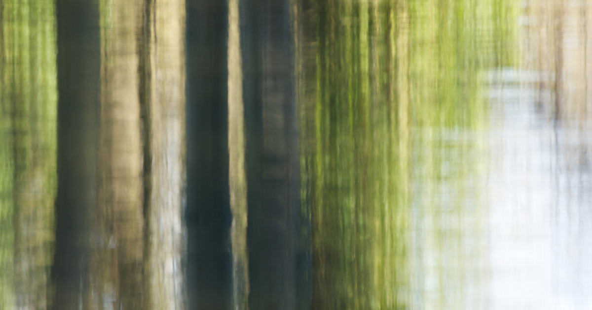 Stock Photo of Blurred Trees and Lake